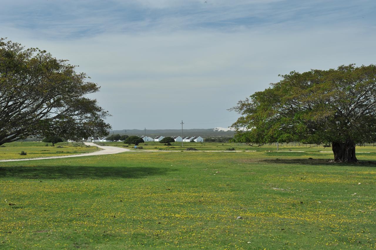 De Hoop Collection Suites De Hoop Nature Reserve Екстер'єр фото